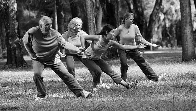 group of seniors doing tai chi in the woods