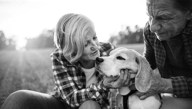 senior couple hugging dog